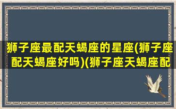 狮子座最配天蝎座的星座(狮子座配天蝎座好吗)(狮子座天蝎座配对指数)