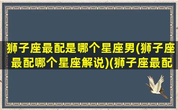 狮子座最配是哪个星座男(狮子座最配哪个星座解说)(狮子座最配什么星座男生)