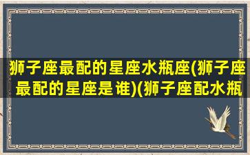 狮子座最配的星座水瓶座(狮子座最配的星座是谁)(狮子座配水瓶座的匹配指数是什么)