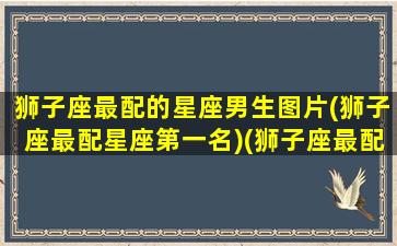 狮子座最配的星座男生图片(狮子座最配星座第一名)(狮子座最配什么星座)