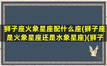 狮子座火象星座配什么座(狮子座是火象星座还是水象星座)(狮子座火系星座)