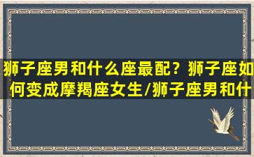 狮子座男和什么座最配？狮子座如何变成摩羯座女生/狮子座男和什么座最配？狮子座如何变成摩羯座女生-我的网站