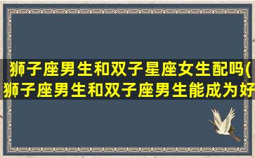 狮子座男生和双子星座女生配吗(狮子座男生和双子座男生能成为好朋友吗)