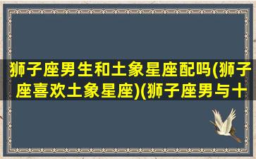 狮子座男生和土象星座配吗(狮子座喜欢土象星座)(狮子座男与十二星座的匹配度)