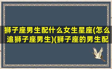 狮子座男生配什么女生星座(怎么追狮子座男生)(狮子座的男生配什么女生)