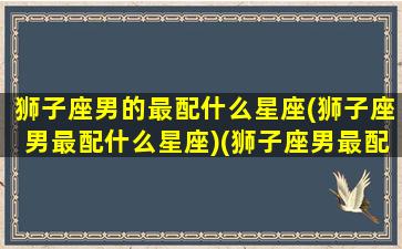 狮子座男的最配什么星座(狮子座男最配什么星座)(狮子座男最配的星座排名)