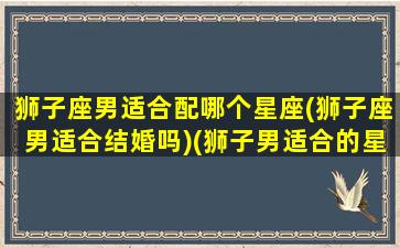 狮子座男适合配哪个星座(狮子座男适合结婚吗)(狮子男适合的星座配对)