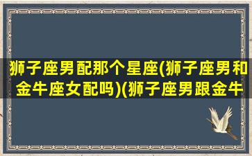 狮子座男配那个星座(狮子座男和金牛座女配吗)(狮子座男跟金牛女配吗)