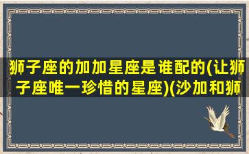 狮子座的加加星座是谁配的(让狮子座唯一珍惜的星座)(沙加和狮子座对打)