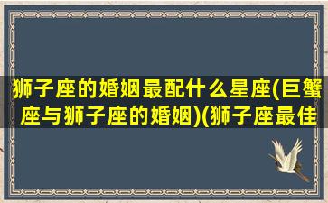 狮子座的婚姻最配什么星座(巨蟹座与狮子座的婚姻)(狮子座最佳婚配)