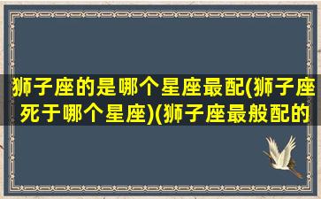 狮子座的是哪个星座最配(狮子座死于哪个星座)(狮子座最般配的星座是哪个)