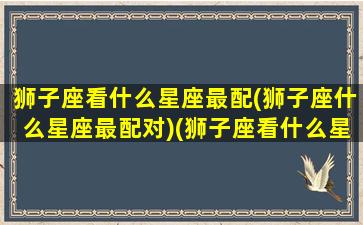 狮子座看什么星座最配(狮子座什么星座最配对)(狮子座看什么星座不顺眼)