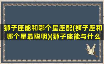 狮子座能和哪个星座配(狮子座和哪个星最聪明)(狮子座能与什么座成为最好的朋友)