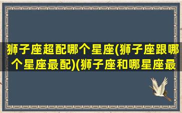 狮子座超配哪个星座(狮子座跟哪个星座最配)(狮子座和哪星座最配)