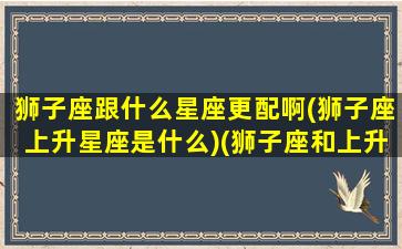 狮子座跟什么星座更配啊(狮子座上升星座是什么)(狮子座和上升狮子谁的气场强)