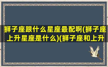 狮子座跟什么星座最配啊(狮子座上升星座是什么)(狮子座和上升狮子谁的气场强)