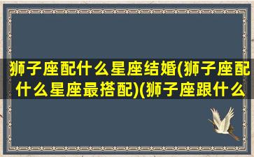 狮子座配什么星座结婚(狮子座配什么星座最搭配)(狮子座跟什么星座结婚最好)