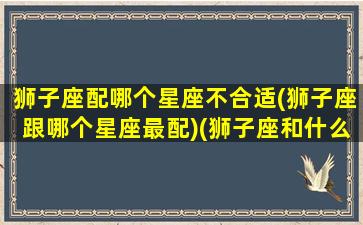 狮子座配哪个星座不合适(狮子座跟哪个星座最配)(狮子座和什么星座最好婚配)