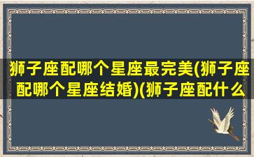 狮子座配哪个星座最完美(狮子座配哪个星座结婚)(狮子座配什么星座呀)