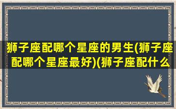 狮子座配哪个星座的男生(狮子座配哪个星座最好)(狮子座配什么星座的男朋友)