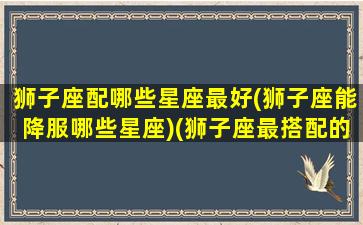 狮子座配哪些星座最好(狮子座能降服哪些星座)(狮子座最搭配的星座是什么星座)