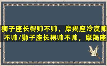 狮子座长得帅不帅，摩羯座冷漠帅不帅/狮子座长得帅不帅，摩羯座冷漠帅不帅-我的网站