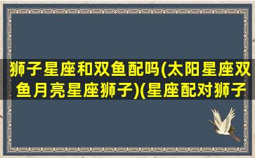 狮子星座和双鱼配吗(太阳星座双鱼月亮星座狮子)(星座配对狮子双鱼)