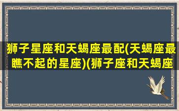 狮子星座和天蝎座最配(天蝎座最瞧不起的星座)(狮子座和天蝎座的般配指数)