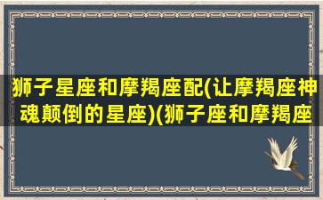 狮子星座和摩羯座配(让摩羯座神魂颠倒的星座)(狮子座和摩羯座的匹配指数)