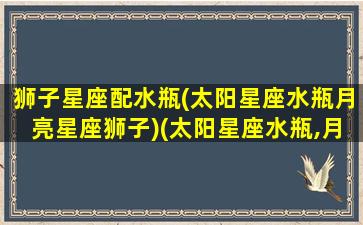 狮子星座配水瓶(太阳星座水瓶月亮星座狮子)(太阳星座水瓶,月亮星座狮子)