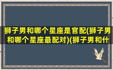 狮子男和哪个星座是官配(狮子男和哪个星座最配对)(狮子男和什么星座配对)