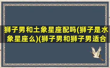 狮子男和土象星座配吗(狮子是水象星座么)(狮子男和狮子男适合做朋友吗)