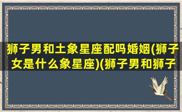 狮子男和土象星座配吗婚姻(狮子女是什么象星座)(狮子男和狮子男在一起会怎么样)