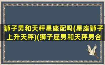 狮子男和天秤星座配吗(星座狮子上升天秤)(狮子座男和天秤男合得来吗)