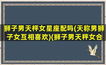 狮子男天枰女星座配吗(天称男狮子女互相喜欢)(狮子男天秤女合适吗贴吧)