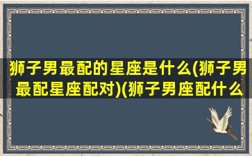 狮子男最配的星座是什么(狮子男最配星座配对)(狮子男座配什么星座最好)