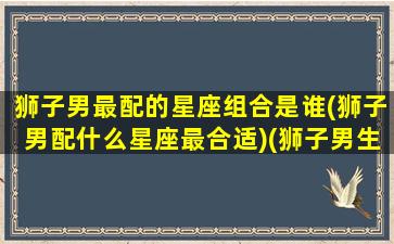 狮子男最配的星座组合是谁(狮子男配什么星座最合适)(狮子男生配什么星座配对)