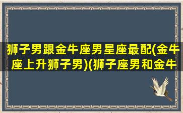 狮子男跟金牛座男星座最配(金牛座上升狮子男)(狮子座男和金牛男)