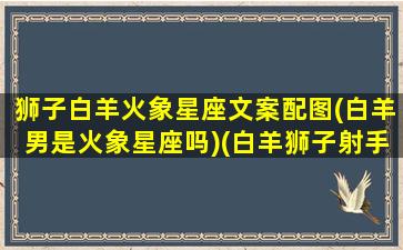 狮子白羊火象星座文案配图(白羊男是火象星座吗)(白羊狮子射手火象三傻)