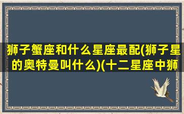 狮子蟹座和什么星座最配(狮子星的奥特曼叫什么)(十二星座中狮子座和哪个星座最配)