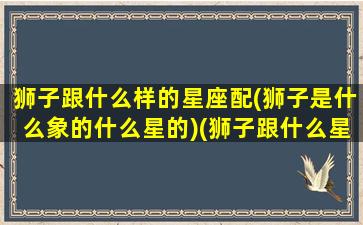 狮子跟什么样的星座配(狮子是什么象的什么星的)(狮子跟什么星座合得来)