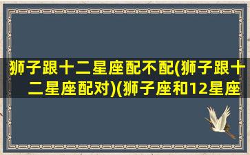 狮子跟十二星座配不配(狮子跟十二星座配对)(狮子座和12星座的匹配程度)