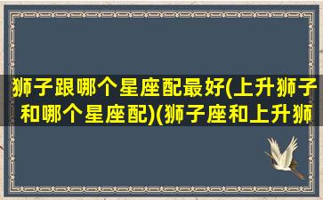 狮子跟哪个星座配最好(上升狮子和哪个星座配)(狮子座和上升狮子谁的气场强)