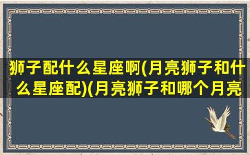 狮子配什么星座啊(月亮狮子和什么星座配)(月亮狮子和哪个月亮星座最合适)