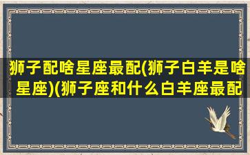 狮子配啥星座最配(狮子白羊是啥星座)(狮子座和什么白羊座最配对)