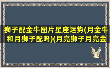 狮子配金牛图片星座运势(月金牛和月狮子配吗)(月亮狮子月亮金牛配吗)