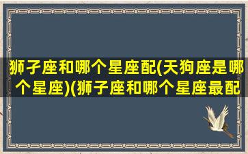 狮孑座和哪个星座配(天狗座是哪个星座)(狮子座和哪个星座最配的星座)