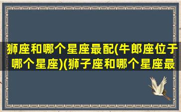 狮座和哪个星座最配(牛郎座位于哪个星座)(狮子座和哪个星座最配的星座)