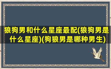 狼狗男和什么星座最配(狼狗男是什么星座)(狗狼男是哪种男生)