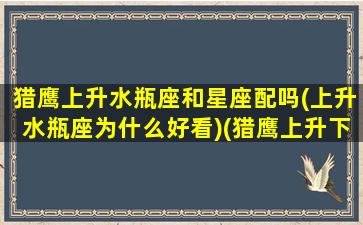 猎鹰上升水瓶座和星座配吗(上升水瓶座为什么好看)(猎鹰上升下载)